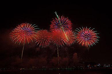 《僵尸毁灭工程》发布更新路线图 或将再添剧情模式